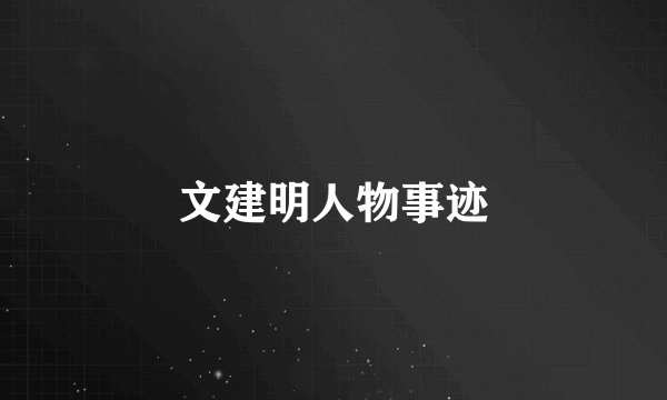 文建明人物事迹