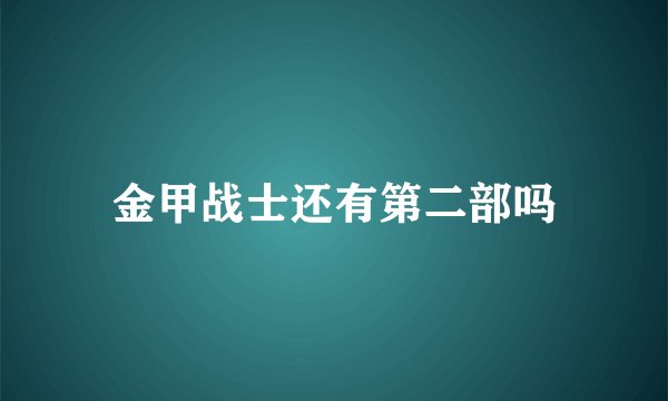 金甲战士还有第二部吗