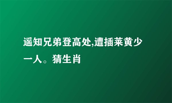 遥知兄弟登高处,遭插莱黄少一人。猜生肖