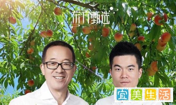 东方甄选市值蒸发超60亿港元，董宇辉回应“小作文风波”