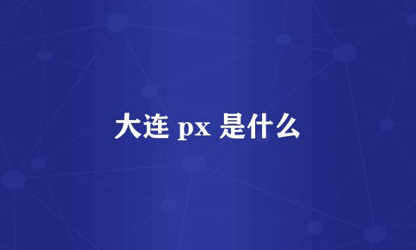 大连 px 是什么