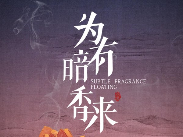 为有暗香来电视剧共有多少集