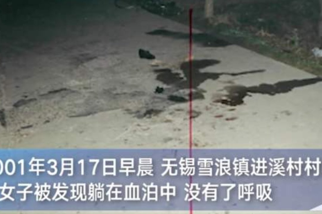 惊！一片菜叶和一筐鸡蛋破获19年前命案，警方是怎么做到的？