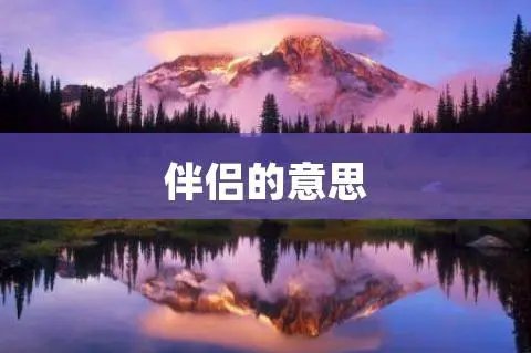 伴侣什么意思