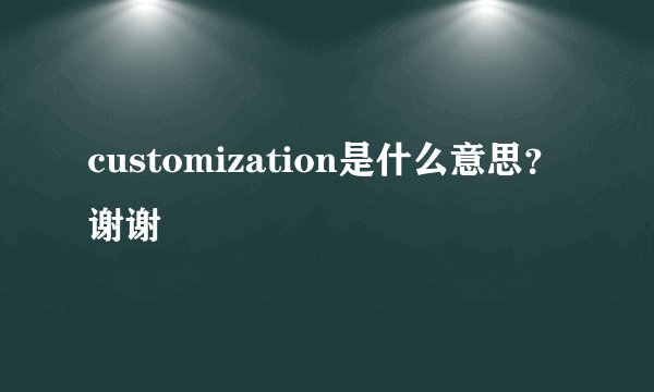 customization是什么意思？谢谢