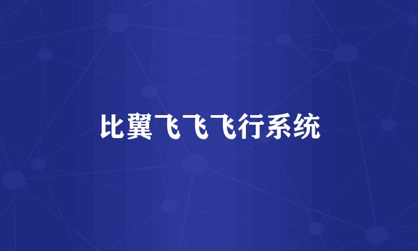 比翼飞飞飞行系统