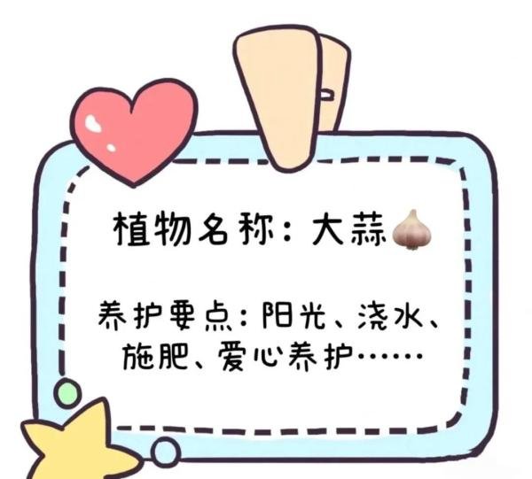 棒的幼儿园动植物角植物名称牌、可打印直接使用！看过的园长幼师都收藏了！