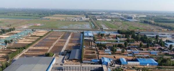 匠心冀造第二站:携手廊坊大地木业,走进清水模板行业