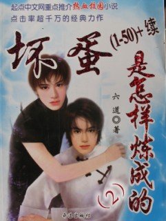 在哪可以下载《坏蛋是怎样练成的2》六道 txt 全本小说啊