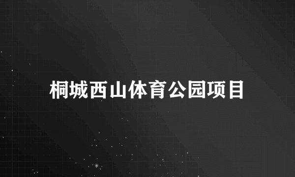 桐城西山体育公园项目