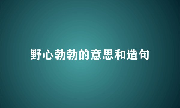 野心勃勃的意思和造句