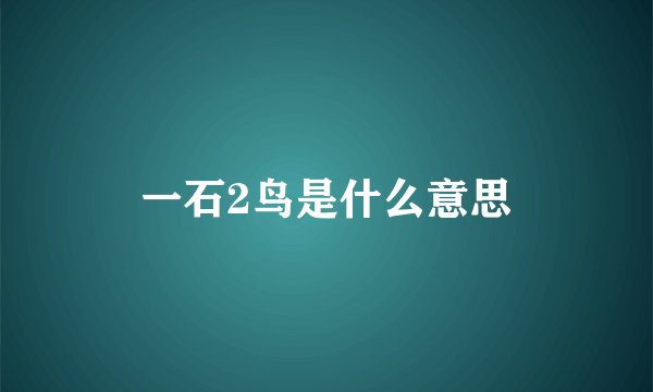一石2鸟是什么意思