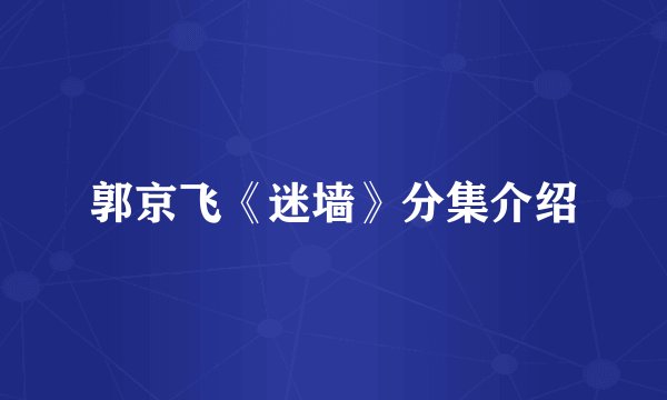 郭京飞《迷墙》分集介绍