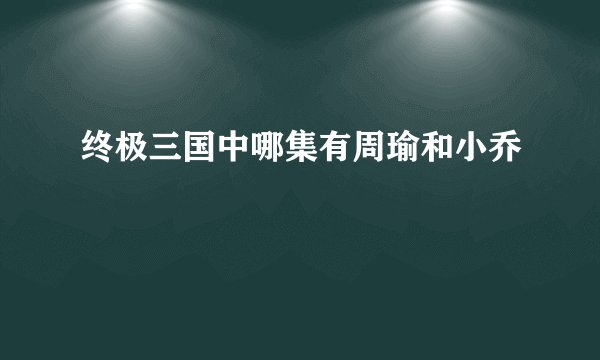 终极三国中哪集有周瑜和小乔
