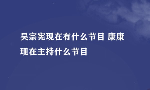 吴宗宪现在有什么节目 康康现在主持什么节目