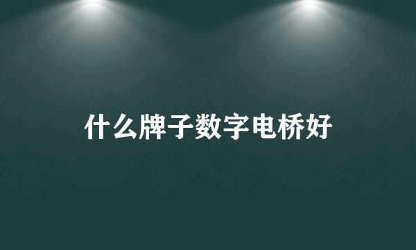 什么牌子数字电桥好