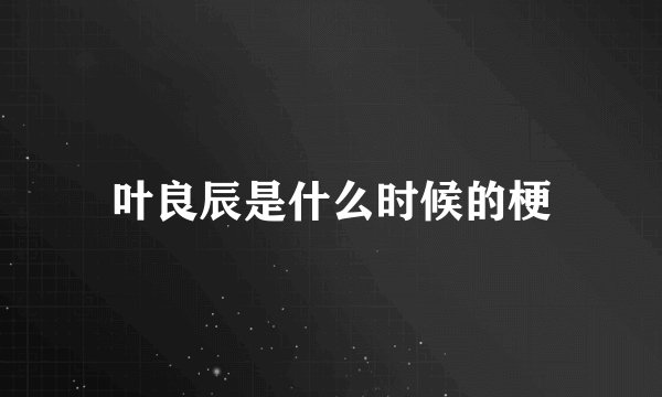 叶良辰是什么时候的梗