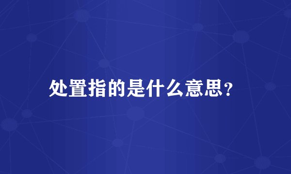 处置指的是什么意思？